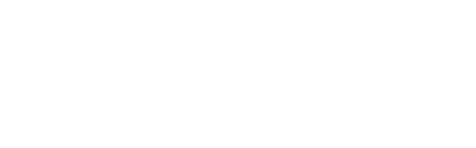 HZI-Forum25_Logo_weiss